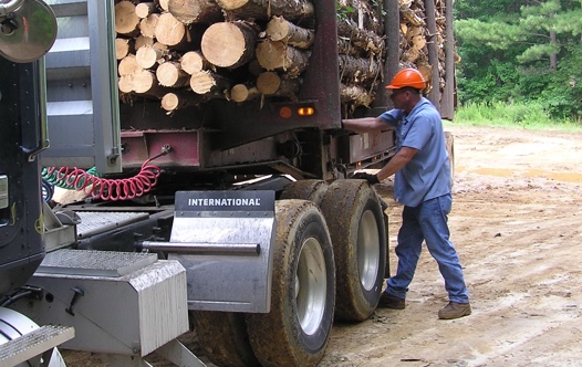 first-year-safety-program