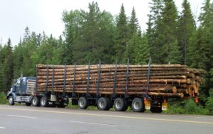 Logging Safety