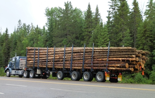 logging-safety-links