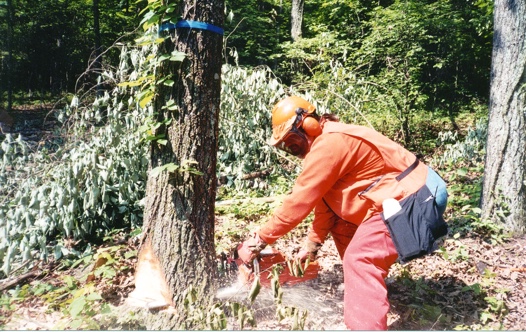 osha